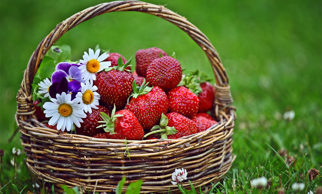 云阳点呀点水果电商APP开发案例